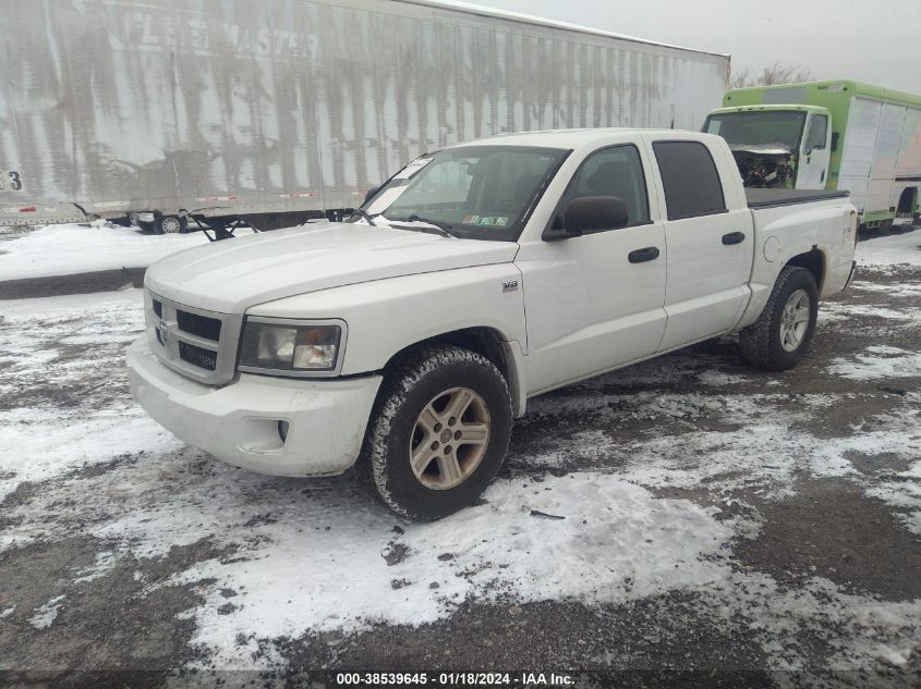 2011 Ram Dakota Bighorn/Lonestar VIN: 1D7RW3GP4BS683733 Lot: 38539645