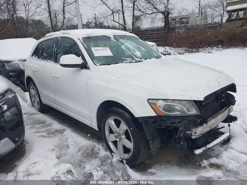 2010 Audi Q5 Premium Plus VIN: WA1LKAFP7AA010340 Lot: 47018314