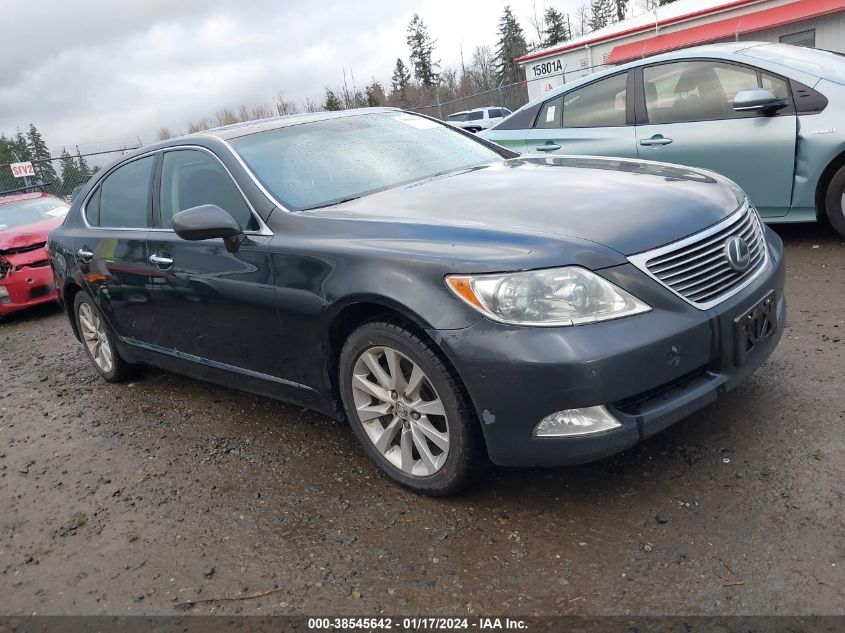 2007 Lexus Ls 460 L VIN: JTHGL46F975003337 Lot: 38545642