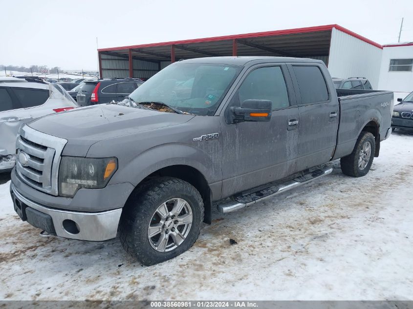 1FTPW14V49FA06273 2009 Ford F-150 Fx4/Lariat/Xl/Xlt