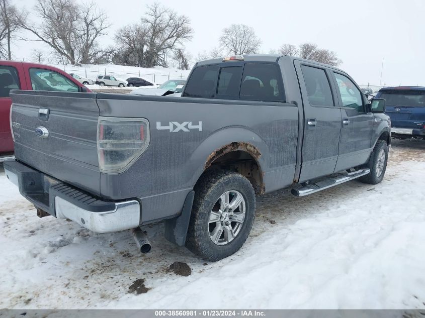 2009 Ford F-150 Fx4/Lariat/Xl/Xlt VIN: 1FTPW14V49FA06273 Lot: 38560981