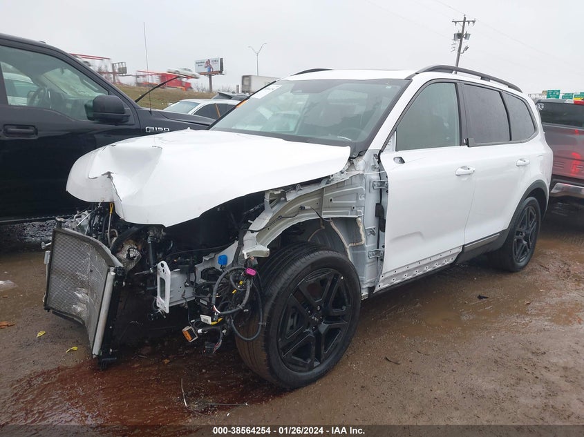 2023 Kia Telluride Ex X-Line VIN: 5XYP3DGC5PG355070 Lot: 38564254