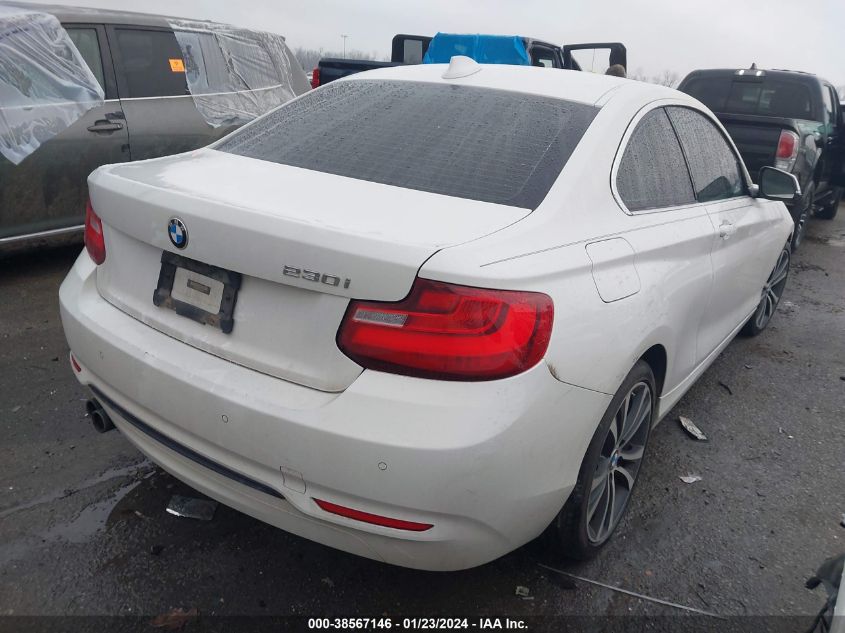 2017 BMW 230I VIN: WBA2F9C54HV664400 Lot: 38567146