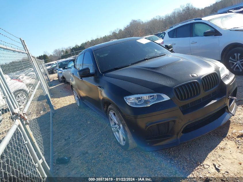 2013 BMW X6 M VIN: 5YMGZ0C52D0C40114 Lot: 38573619