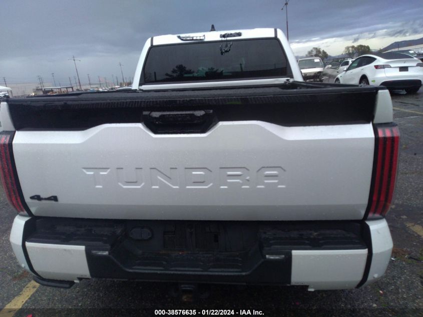 2022 Toyota Tundra Platinum VIN: 5TFNA5DB7NX035368 Lot: 38576635