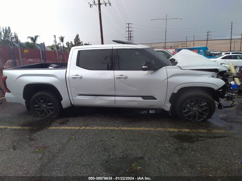 2022 Toyota Tundra Platinum VIN: 5TFNA5DB7NX035368 Lot: 38576635