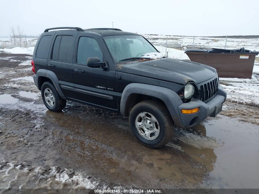 2003 Jeep Liberty Sport VIN: 1J4GK48K93W724657 Lot: 38589145