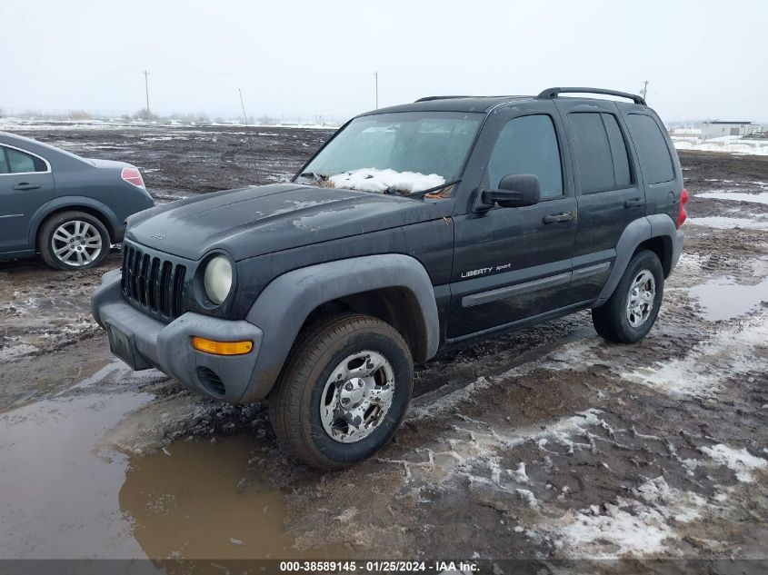 2003 Jeep Liberty Sport VIN: 1J4GK48K93W724657 Lot: 38589145