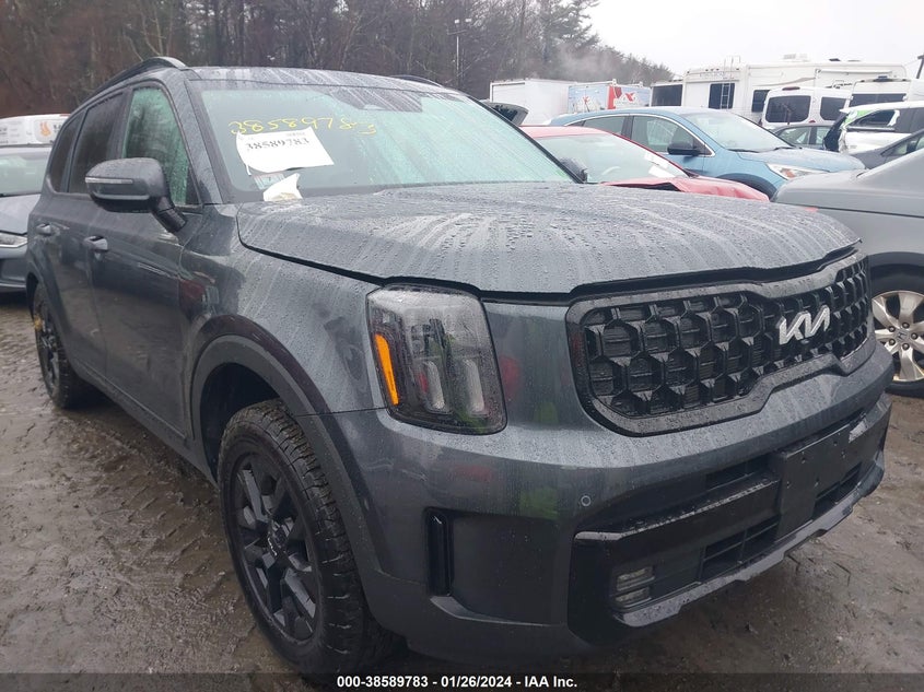 2024 Kia Telluride Sx Prestige X-Pro VIN: 5XYP5DGC6RG414530 Lot: 38589783
