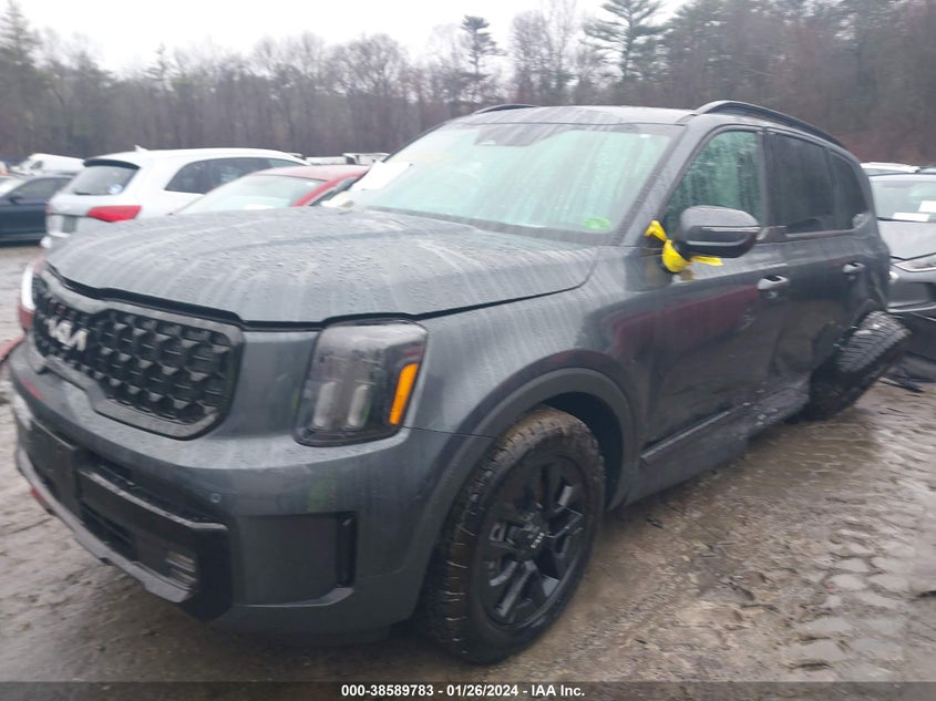 2024 Kia Telluride Sx Prestige X-Pro VIN: 5XYP5DGC6RG414530 Lot: 38589783