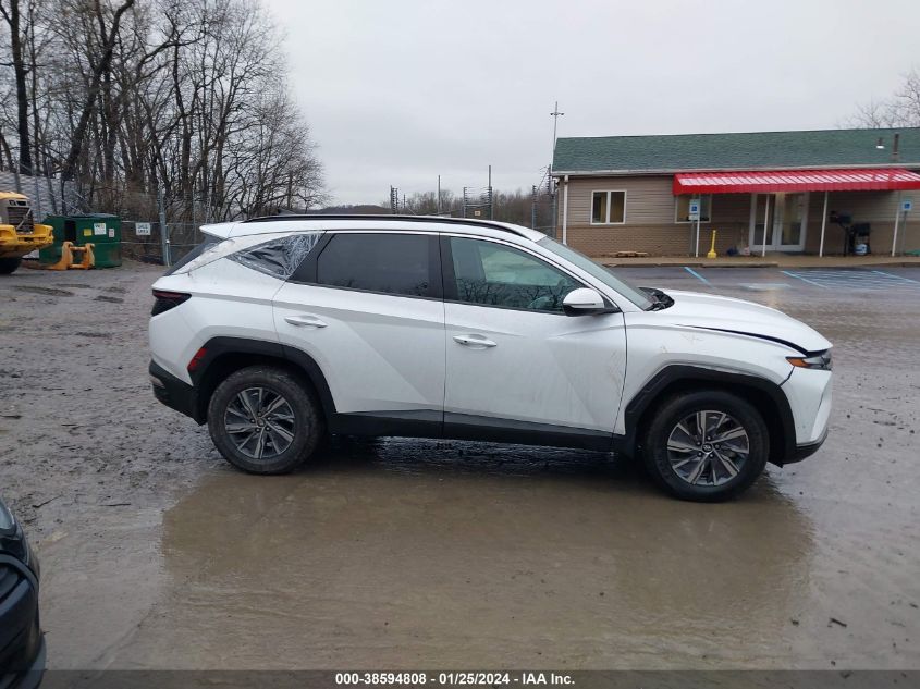 2022 Hyundai Tucson Hybrid Blue VIN: KM8JBCA12NU031480 Lot: 38594808