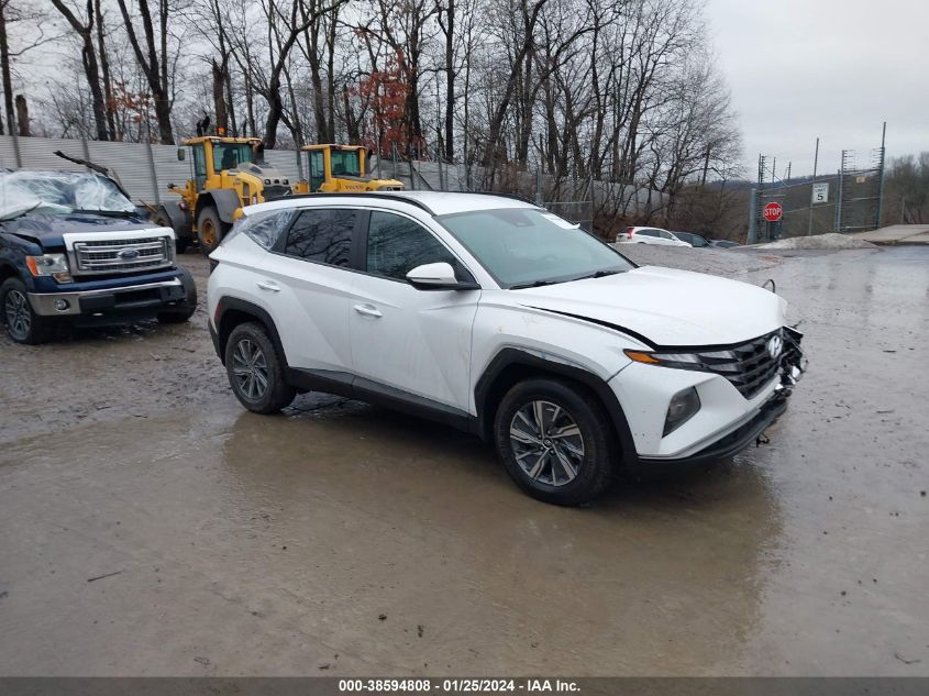 2022 Hyundai Tucson Hybrid Blue VIN: KM8JBCA12NU031480 Lot: 38594808