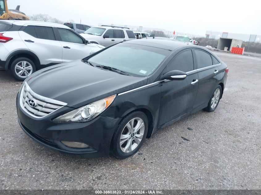 5NPEC4AC4DH656126 2013 Hyundai Sonata Limited