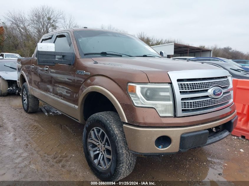 2011 Ford F-150 Platinum VIN: 1FTFW1E65BFA17453 Lot: 38608894