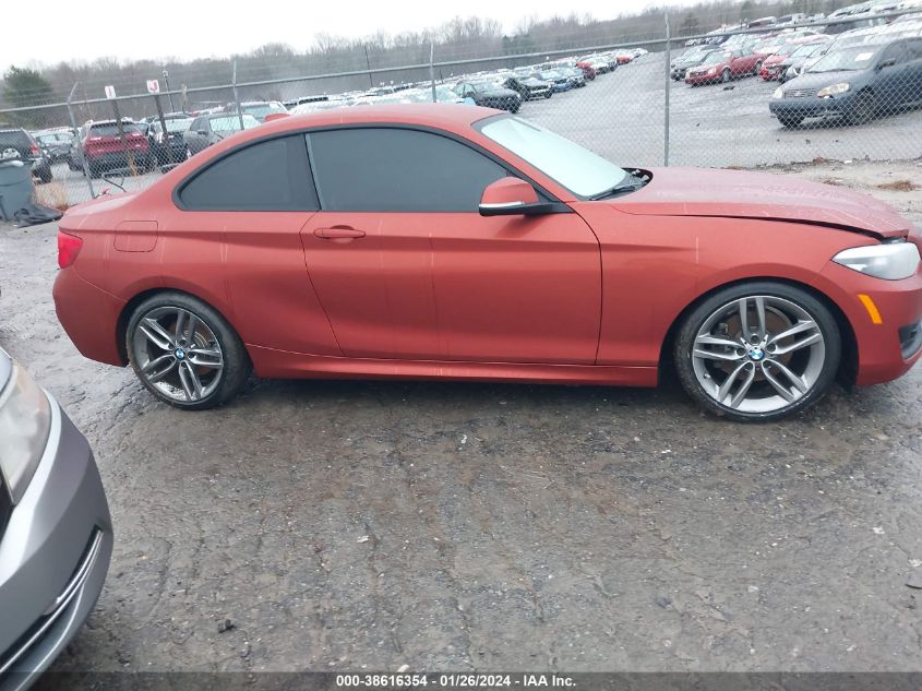 2018 BMW 230I VIN: WBA2J1C59JVD09313 Lot: 38616354