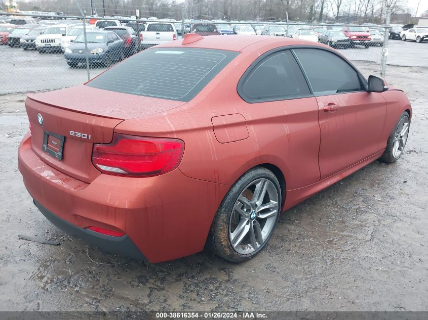 2018 BMW 230I VIN: WBA2J1C59JVD09313 Lot: 38616354