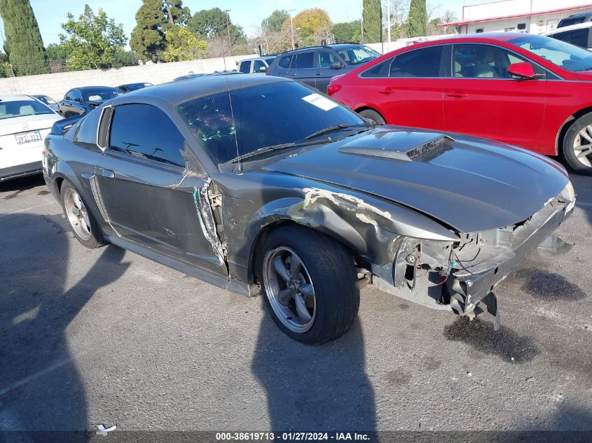 2001 Ford Mustang Gt Bullitt Edition/Gt Deluxe/Gt Premium VIN: 1FAFP42X41F137566 Lot: 38619713