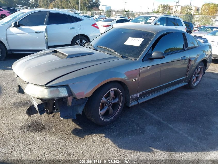 2001 Ford Mustang Gt Bullitt Edition/Gt Deluxe/Gt Premium VIN: 1FAFP42X41F137566 Lot: 38619713