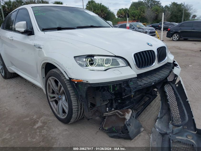 VIN 5YMGZ0C56E0C40781 2014 BMW X6, X6 M no.6