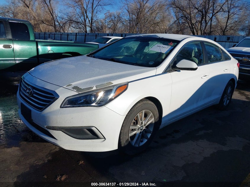 VIN 5NPE24AF8HH445613 2017 HYUNDAI SONATA