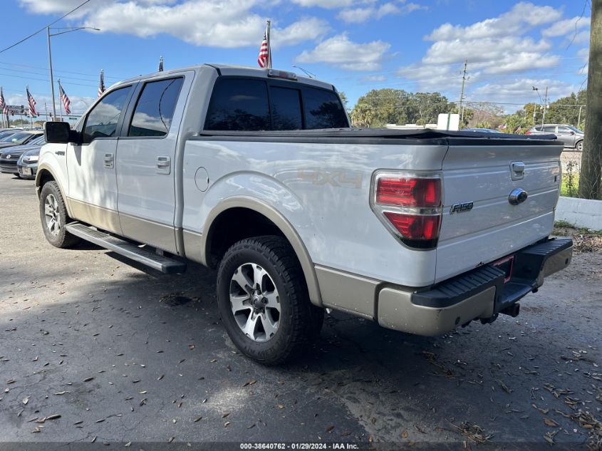 2009 Ford F-150 Fx4/Lariat/Xl/Xlt VIN: 1FTPW14V19KB82799 Lot: 38640762