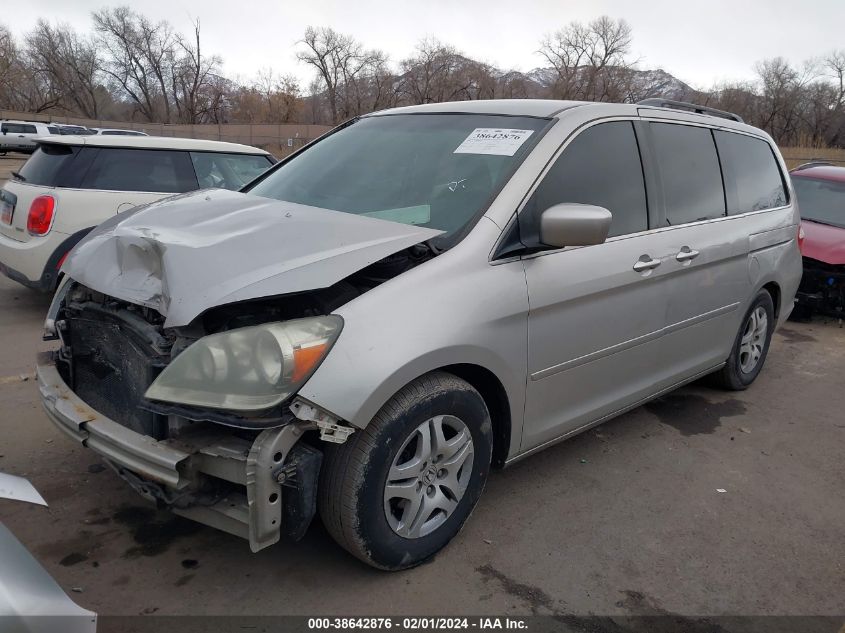 2005 Honda Odyssey Ex VIN: 5FNRL38445B424491 Lot: 38642876