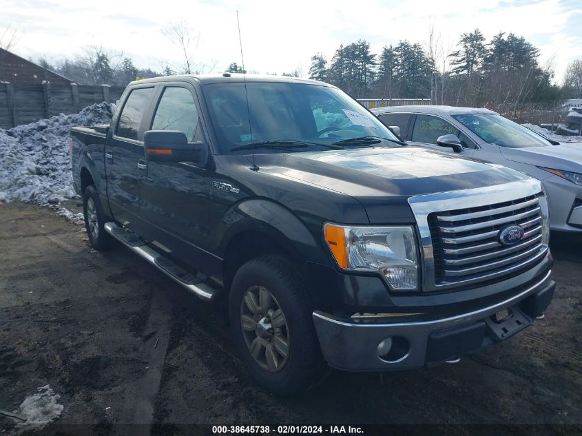 2010 Ford F-150 Fx4/Harley-Davidson/Lariat/Xl/Xlt VIN: 1FTFW1EV3AFB21316 Lot: 38645738