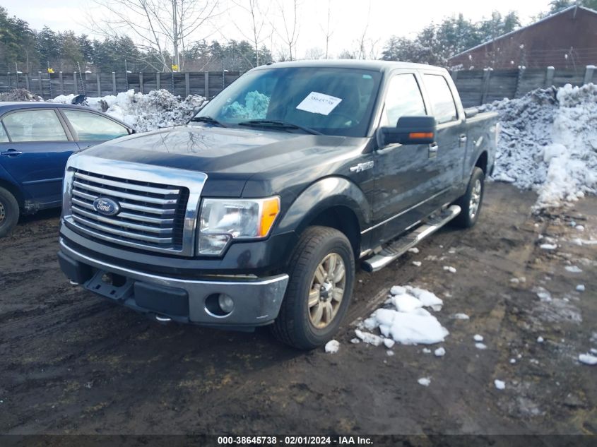 2010 Ford F-150 Fx4/Harley-Davidson/Lariat/Xl/Xlt VIN: 1FTFW1EV3AFB21316 Lot: 38645738