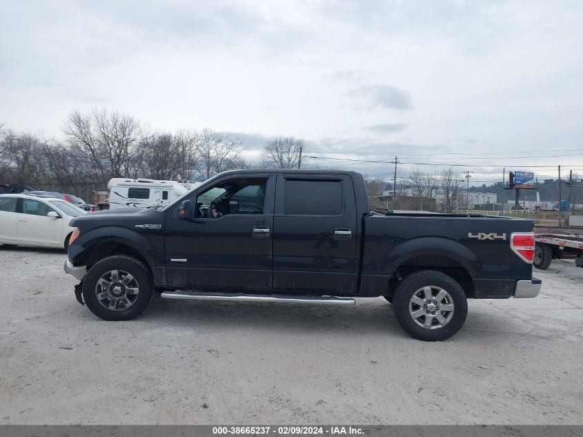 2014 Ford F-150 Xlt VIN: 1FTFW1ET7EFB43971 Lot: 38665237