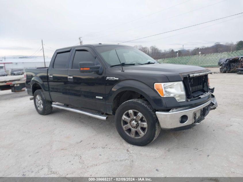 1FTFW1ET7EFB43971 2014 Ford F-150 Xlt