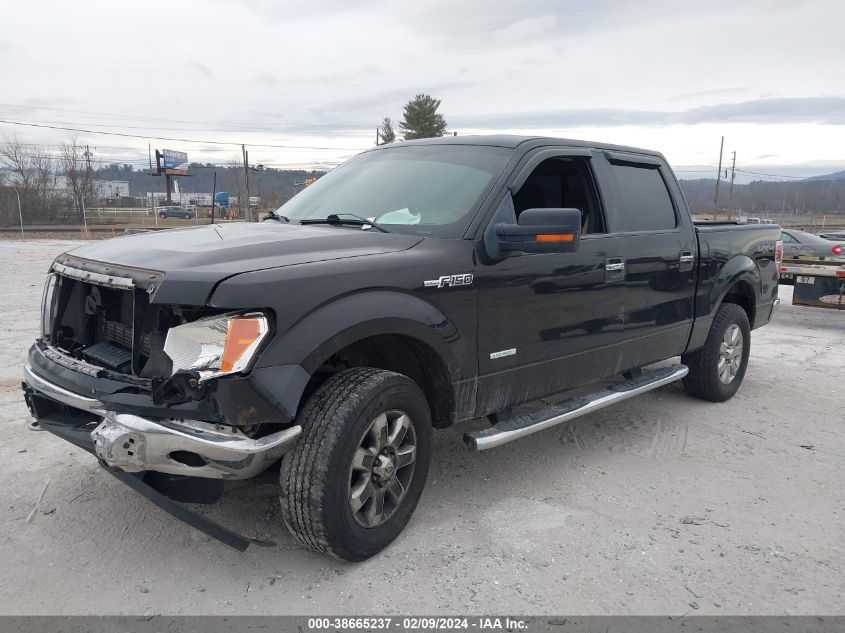 1FTFW1ET7EFB43971 2014 Ford F-150 Xlt