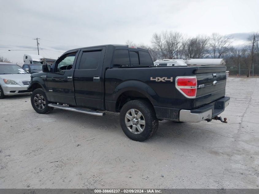 2014 Ford F-150 Xlt VIN: 1FTFW1ET7EFB43971 Lot: 38665237