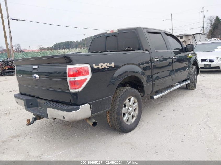 1FTFW1ET7EFB43971 2014 Ford F-150 Xlt