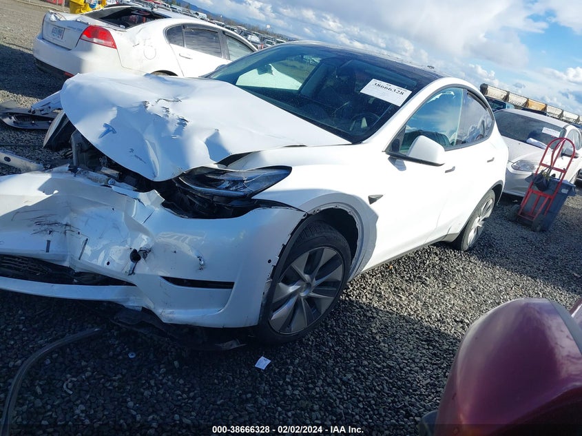 VIN 5YJYGDEE5MF140529 2021 TESLA MODEL Y