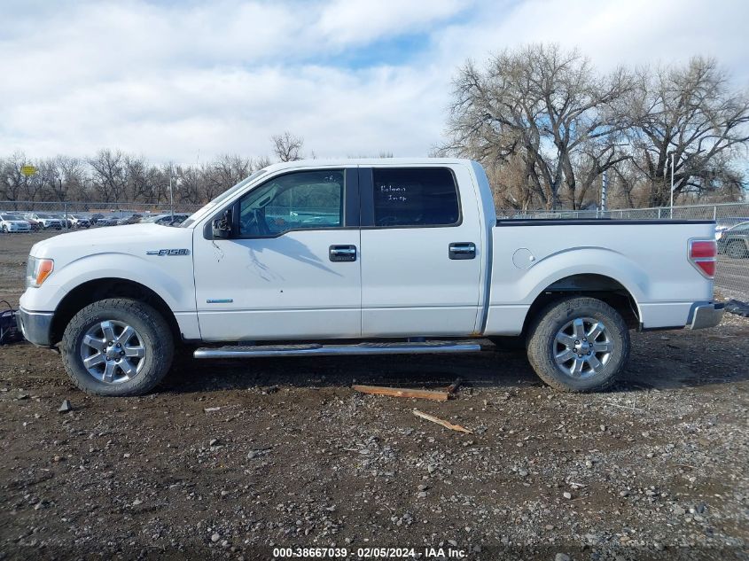 2013 Ford F-150 Xlt VIN: 1FTFW1ET0DKF00087 Lot: 38667039