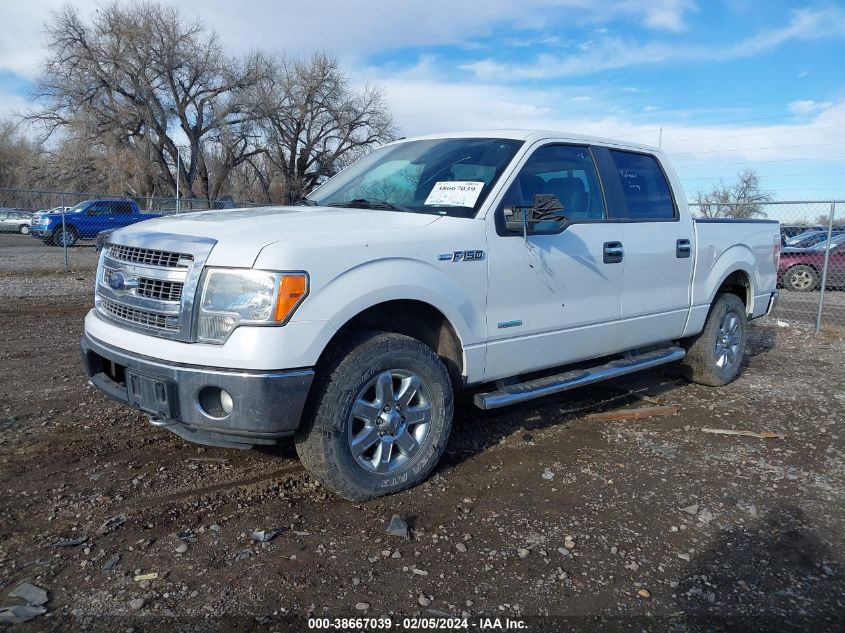 2013 Ford F-150 Xlt VIN: 1FTFW1ET0DKF00087 Lot: 38667039