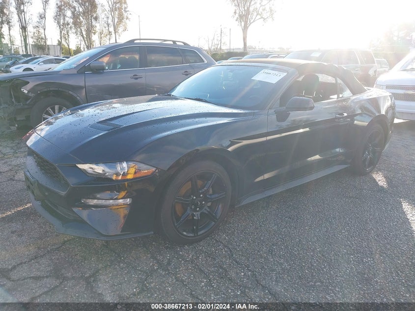 VIN 1FATP8UH3K5135038 2019 FORD MUSTANG ECOBOOST
