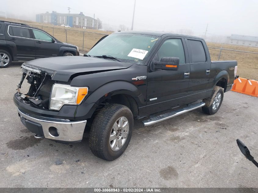 2013 Ford F-150 Xlt VIN: 1FTFW1ET1DKE74521 Lot: 38668943