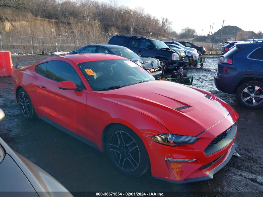 1FA6P8THXK5150599 2019 FORD MUSTANG - Image 1