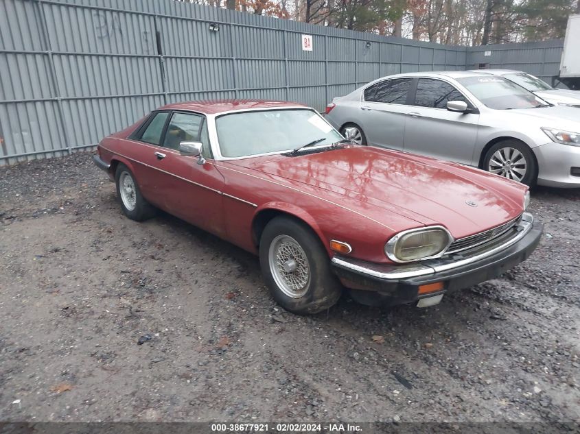 1984 Jaguar Xjs VIN: SAJNV5841EC114270 Lot: 38677921