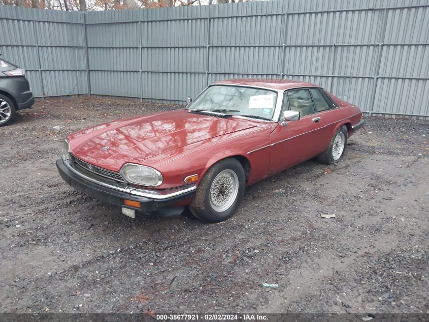 1984 Jaguar Xjs VIN: SAJNV5841EC114270 Lot: 38677921
