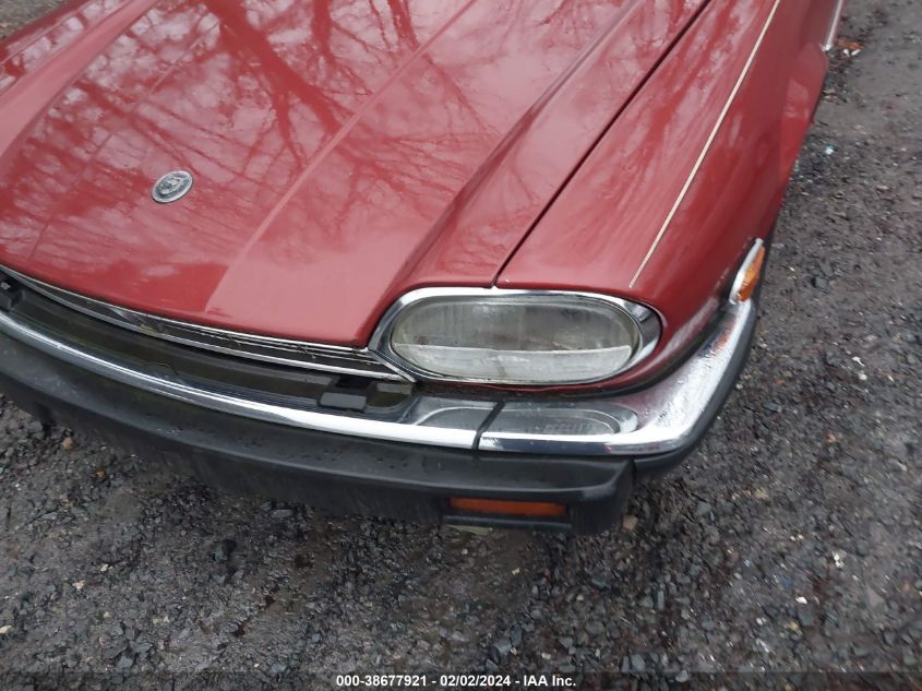 1984 Jaguar Xjs VIN: SAJNV5841EC114270 Lot: 38677921