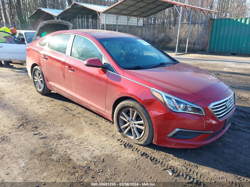 VIN 5NPE24AF5HH493358 2017 HYUNDAI SONATA