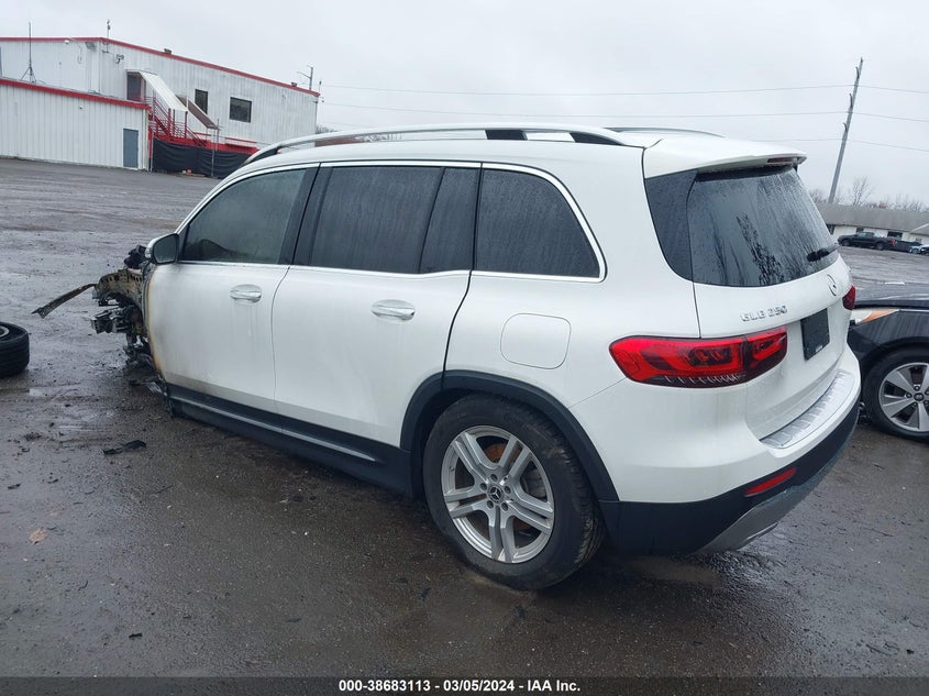 2022 Mercedes-Benz Glb 250 4Matic VIN: W1N4M4HB8NW199993 Lot: 38683113