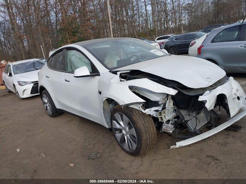 2023 TESLA MODEL Y - 7SAYGDEE8PF842450