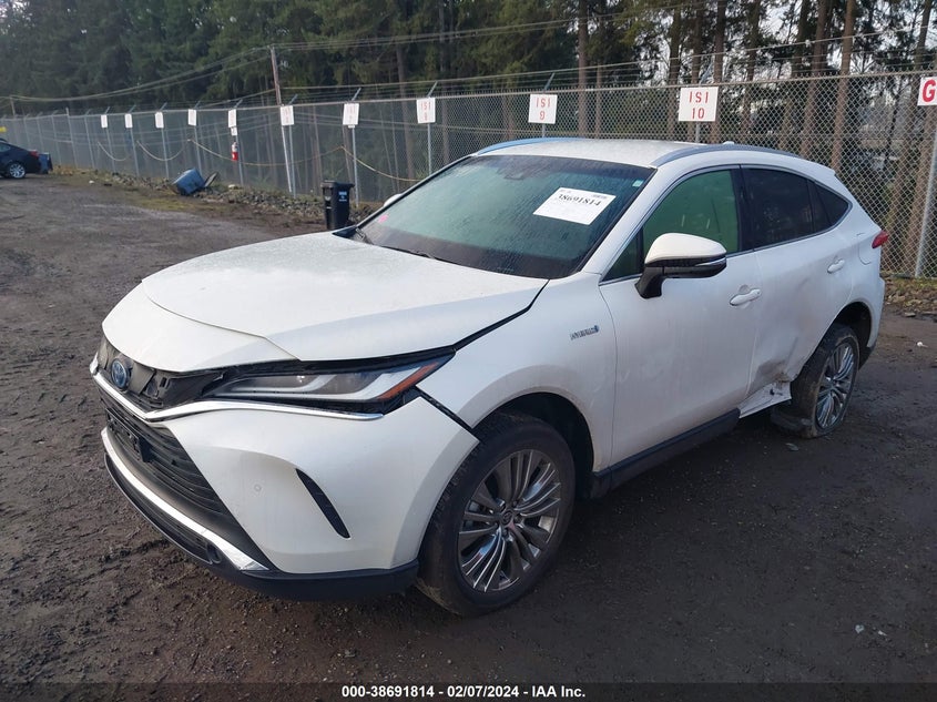 VIN JTEAAAAHXMJ004497 2021 TOYOTA VENZA XLE