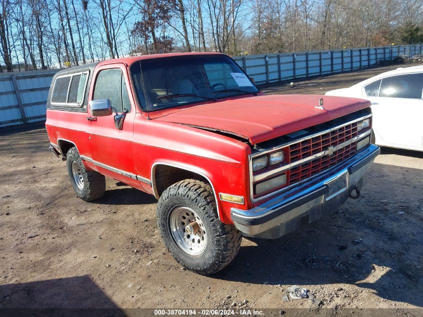 1990 Chevrolet Blazer V10 VIN: 1GNEV18K2LF168704 Lot: 38704194