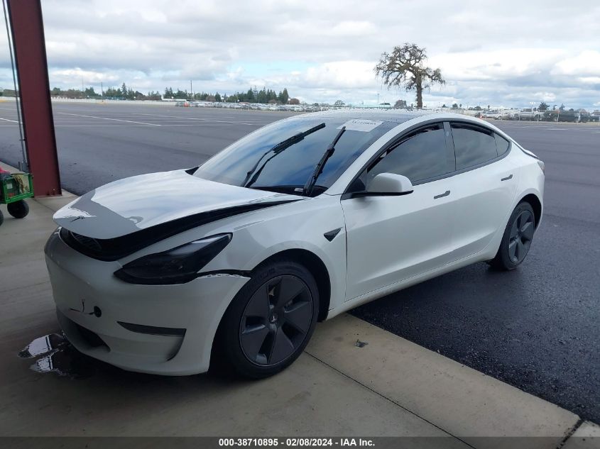 2023 Tesla Model 3 Rear-Wheel Drive VIN: 5YJ3E1EA3PF590602 Lot: 38710895