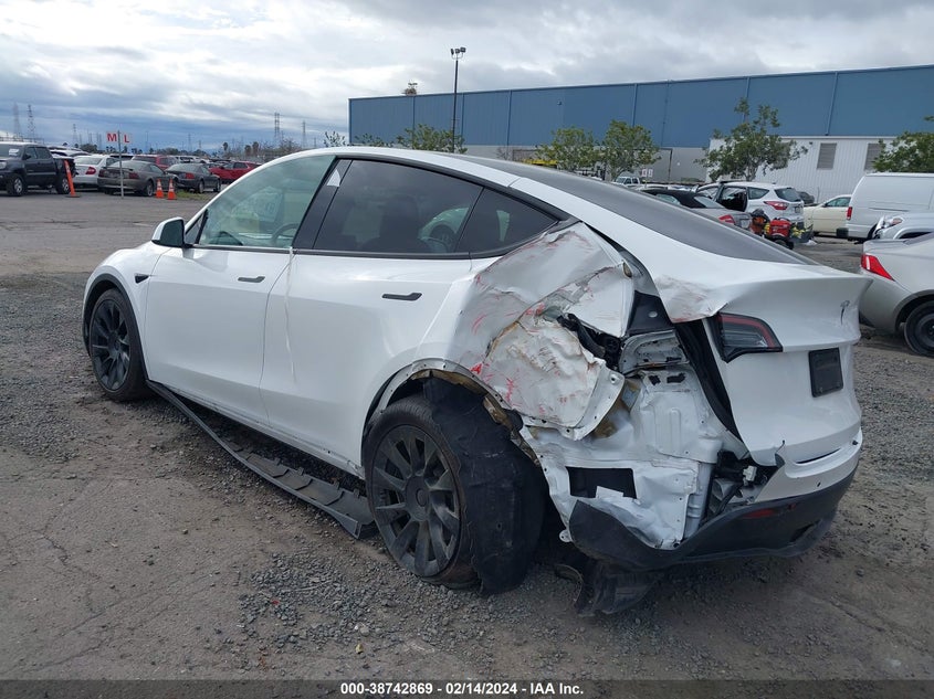 VIN 5YJYGDEE4MF218282 2021 TESLA MODEL Y