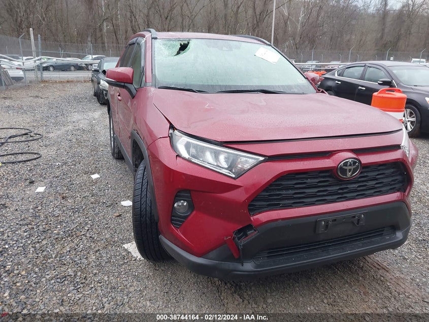 2019 TOYOTA RAV4 XLE - JTMP1RFV2KD037291